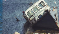 Commercial Insurance Claim